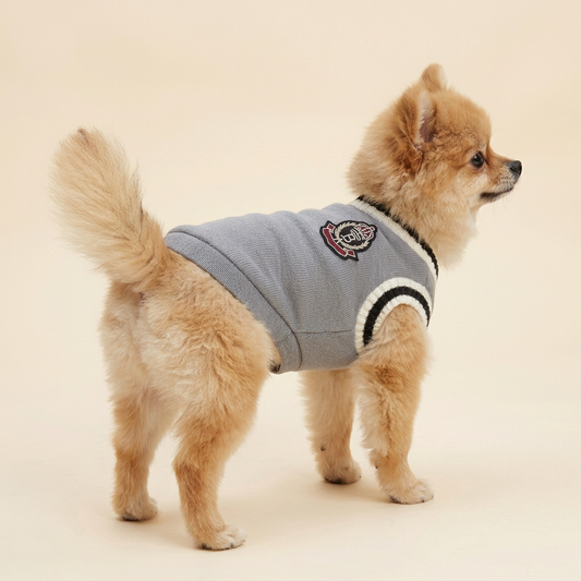 Tan Pomeranian modeling the Grey Preppy Pet Vest