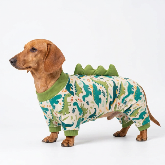 Dachshund wearing green dinosaur spike dog pajamas